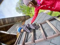 20250517_142016 (768x1024).jpg